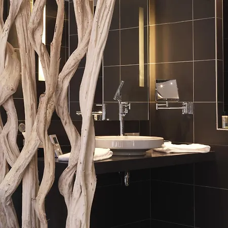 Hôtel Restaurant Le Parc Franck Putelat 5* Carcassona