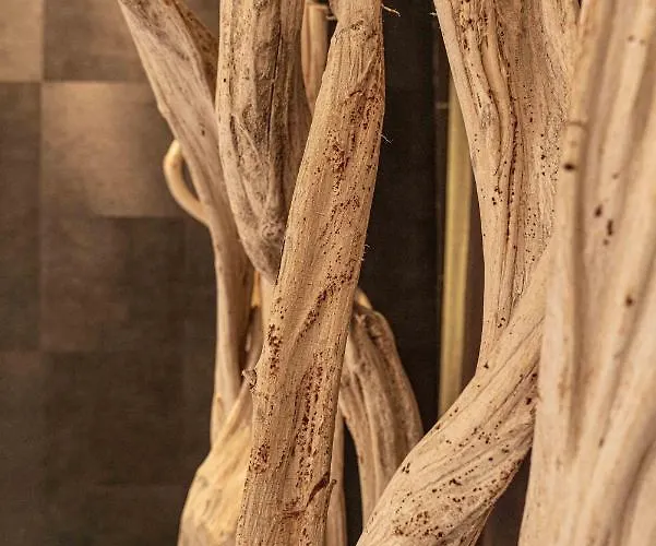 Hotel Hotel Le Parc - La Table De Franck Putelat